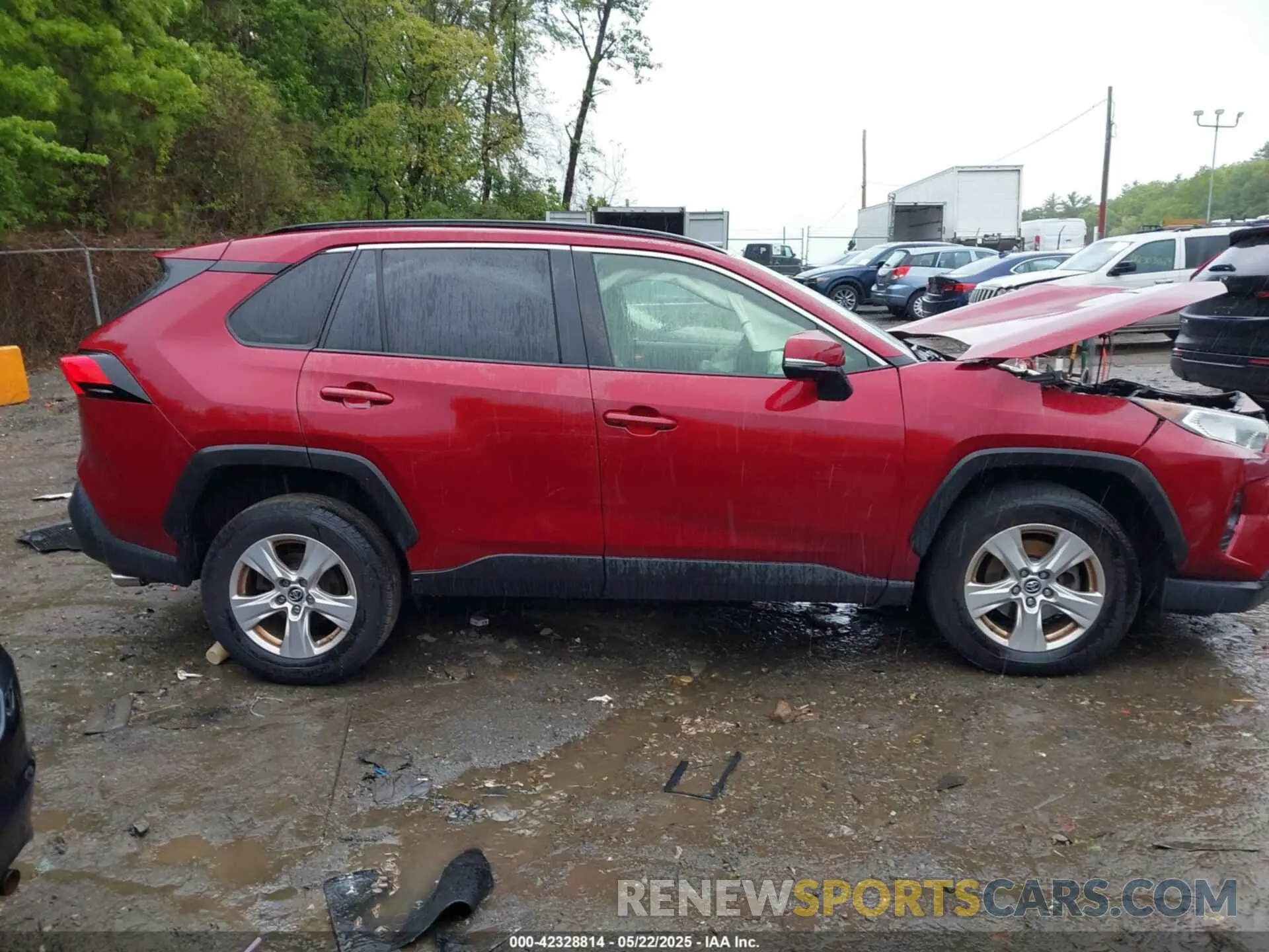 13 Photograph of a damaged car JTMP1RFV7KD516029 TOYOTA RAV4 2019