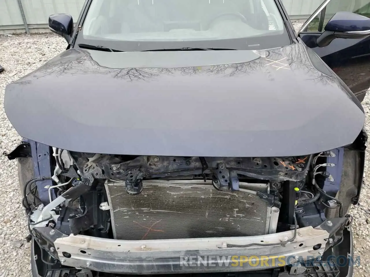 12 Фотография поврежденного автомобиля JTMY1RFV3KD502908 TOYOTA RAV4 2019