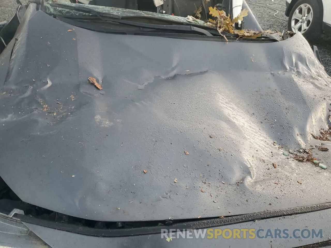 11 Фотография поврежденного автомобиля 2T3P1RFV0MW174204 TOYOTA RAV4 2021