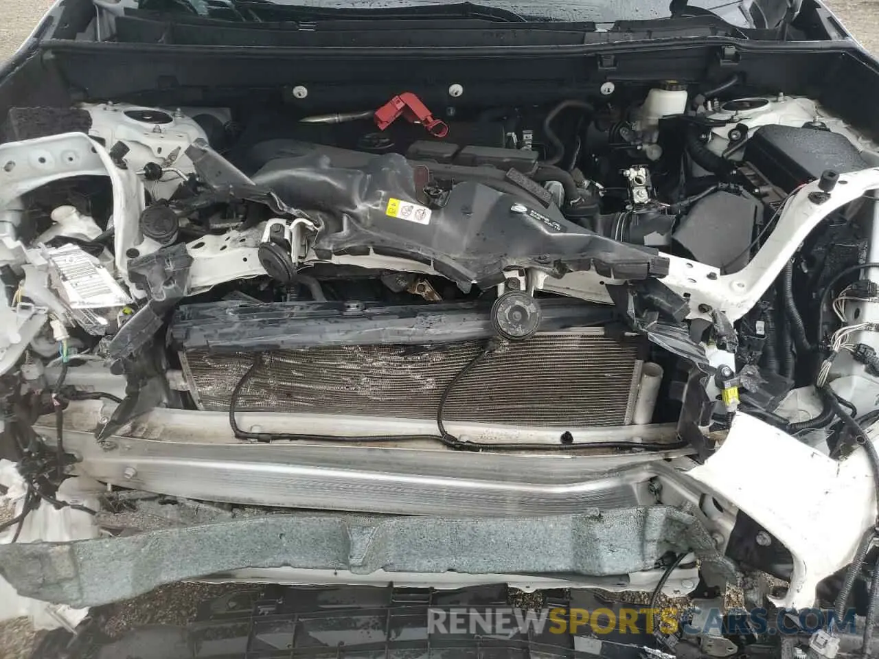 12 Фотография поврежденного автомобиля 2T3W1RFV2MW136498 TOYOTA RAV4 2021