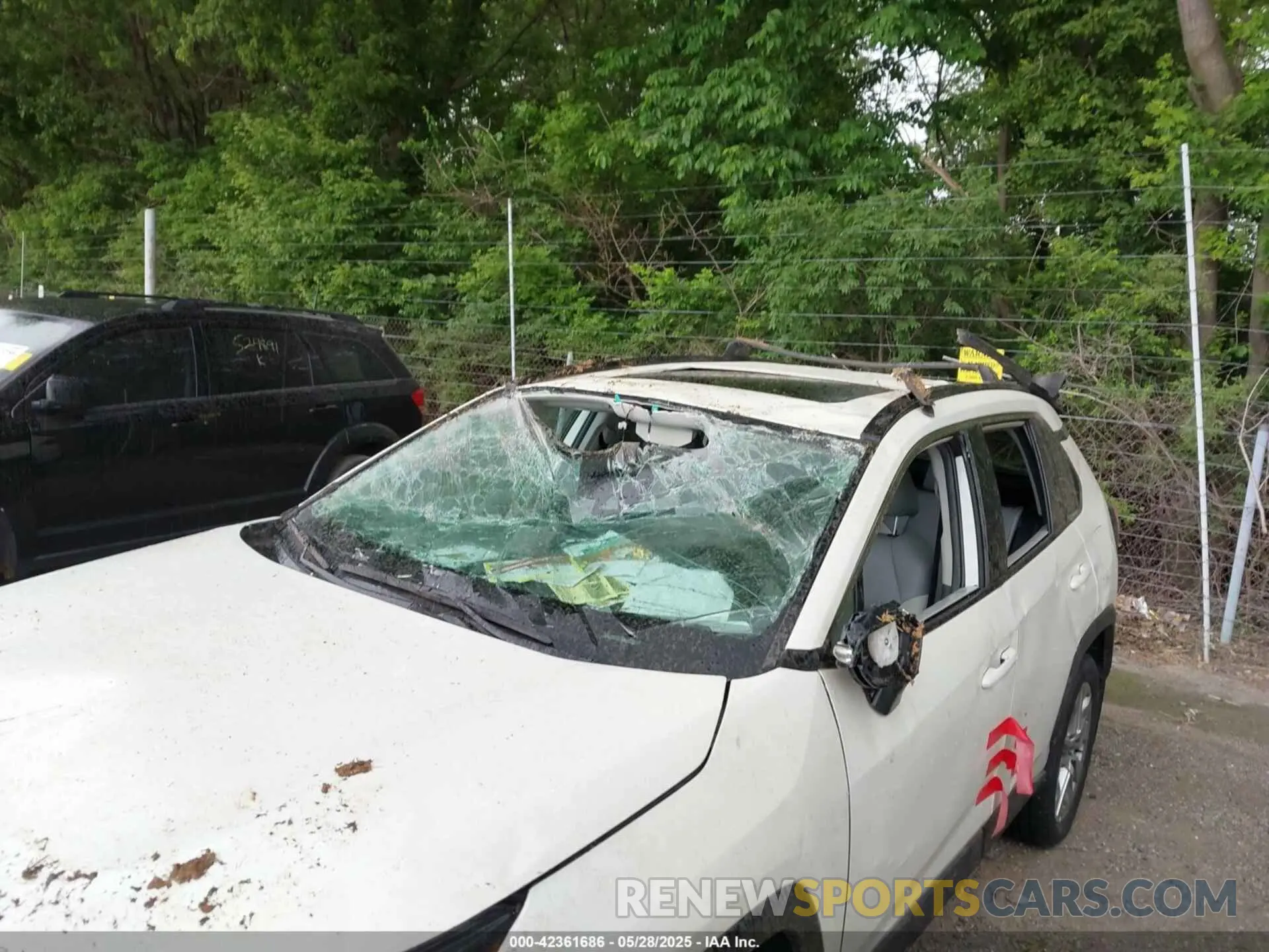 6 Photograph of a damaged car 2T3A1RFV1NW312419 TOYOTA RAV4 2022
