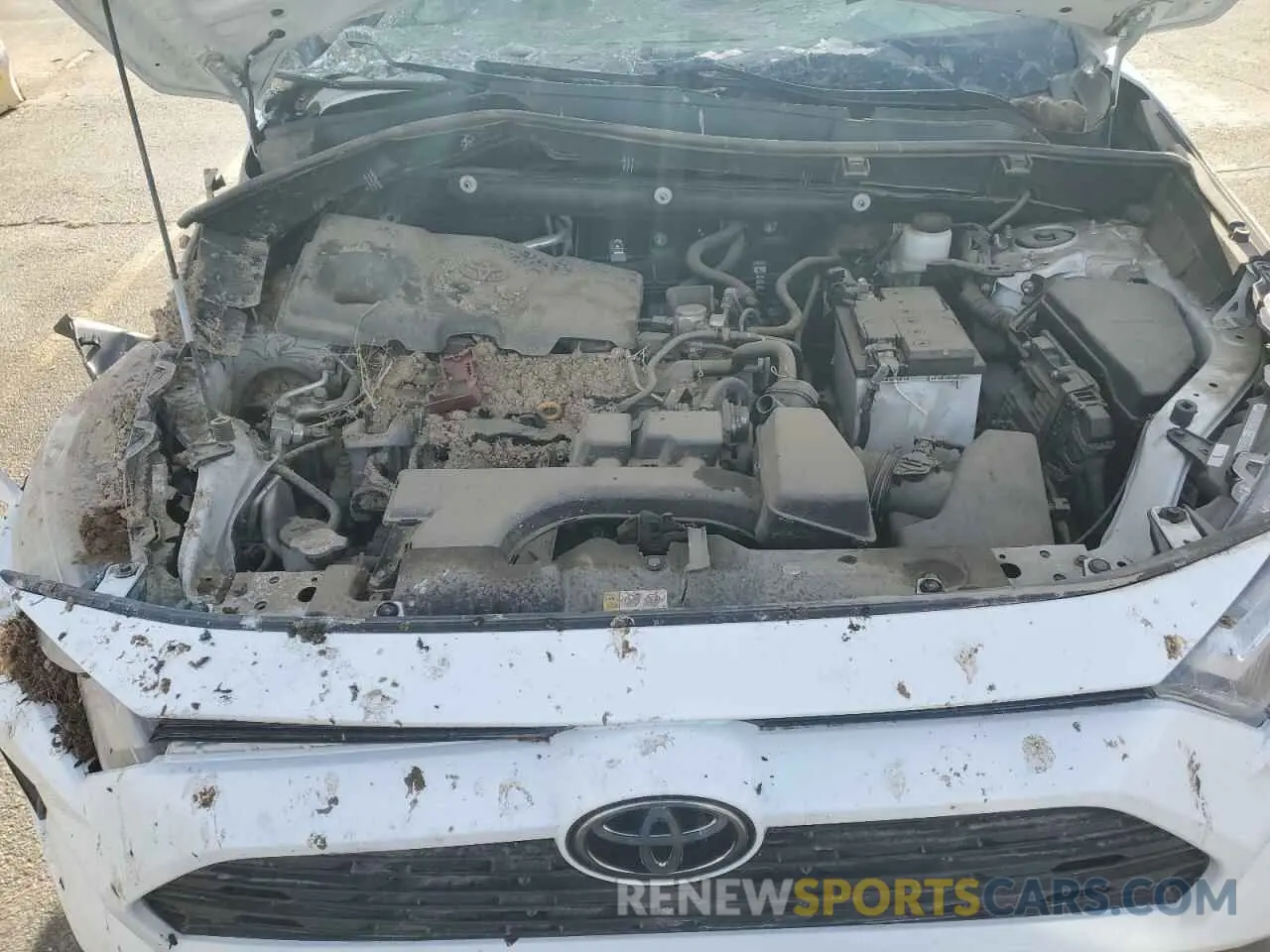 12 Фотография поврежденного автомобиля 2T3P1RFV0NW255267 TOYOTA RAV4 2022