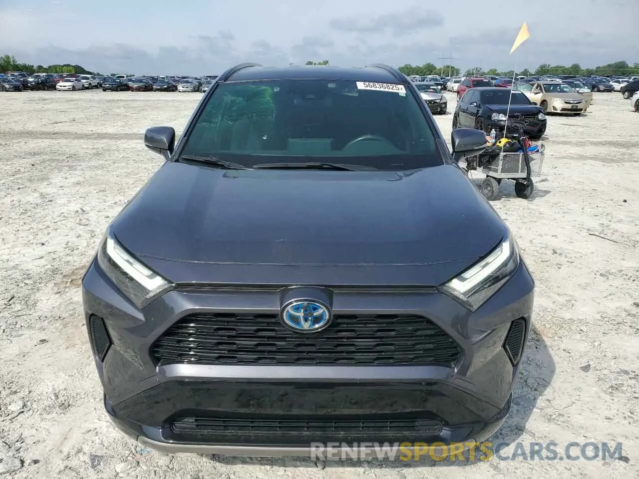 5 Photograph of a damaged car JTM16RFVXNJ016590 TOYOTA RAV4 2022