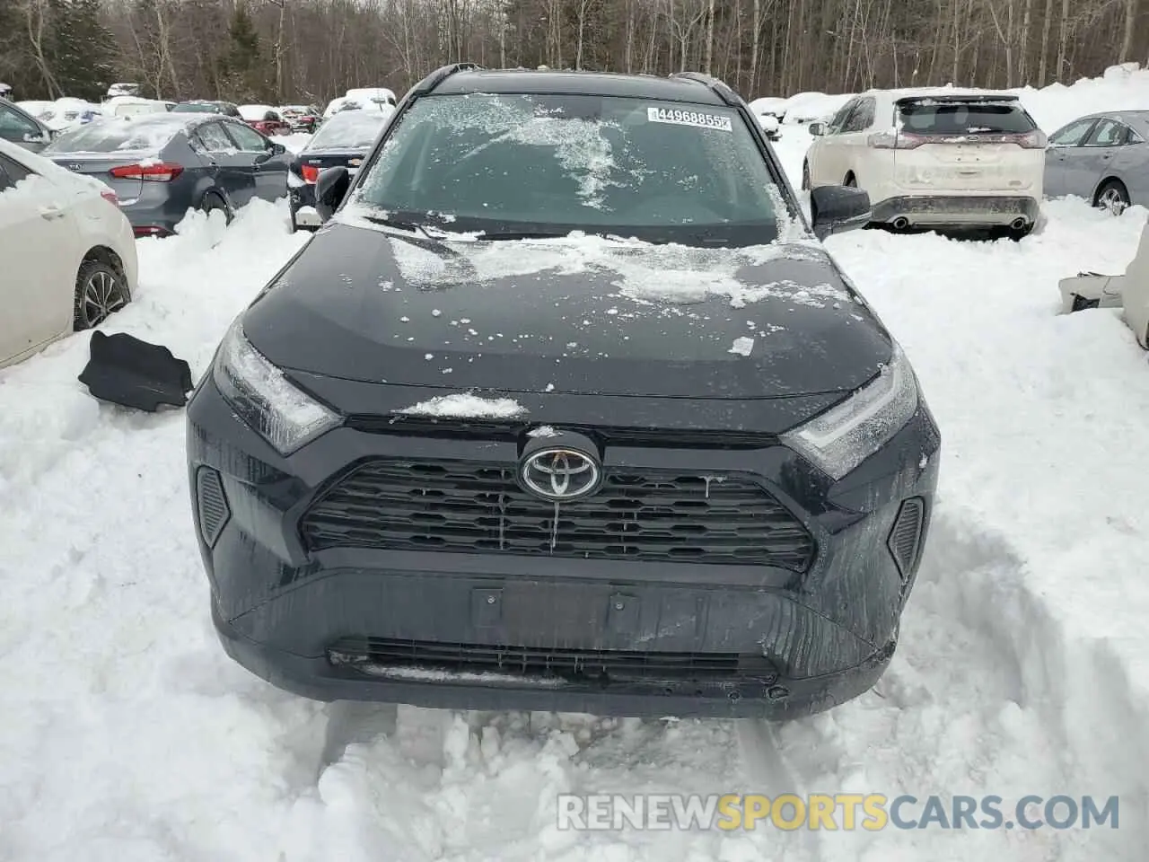 5 Фотография поврежденного автомобиля 2T3R1RFV9PC360631 TOYOTA RAV4 2023