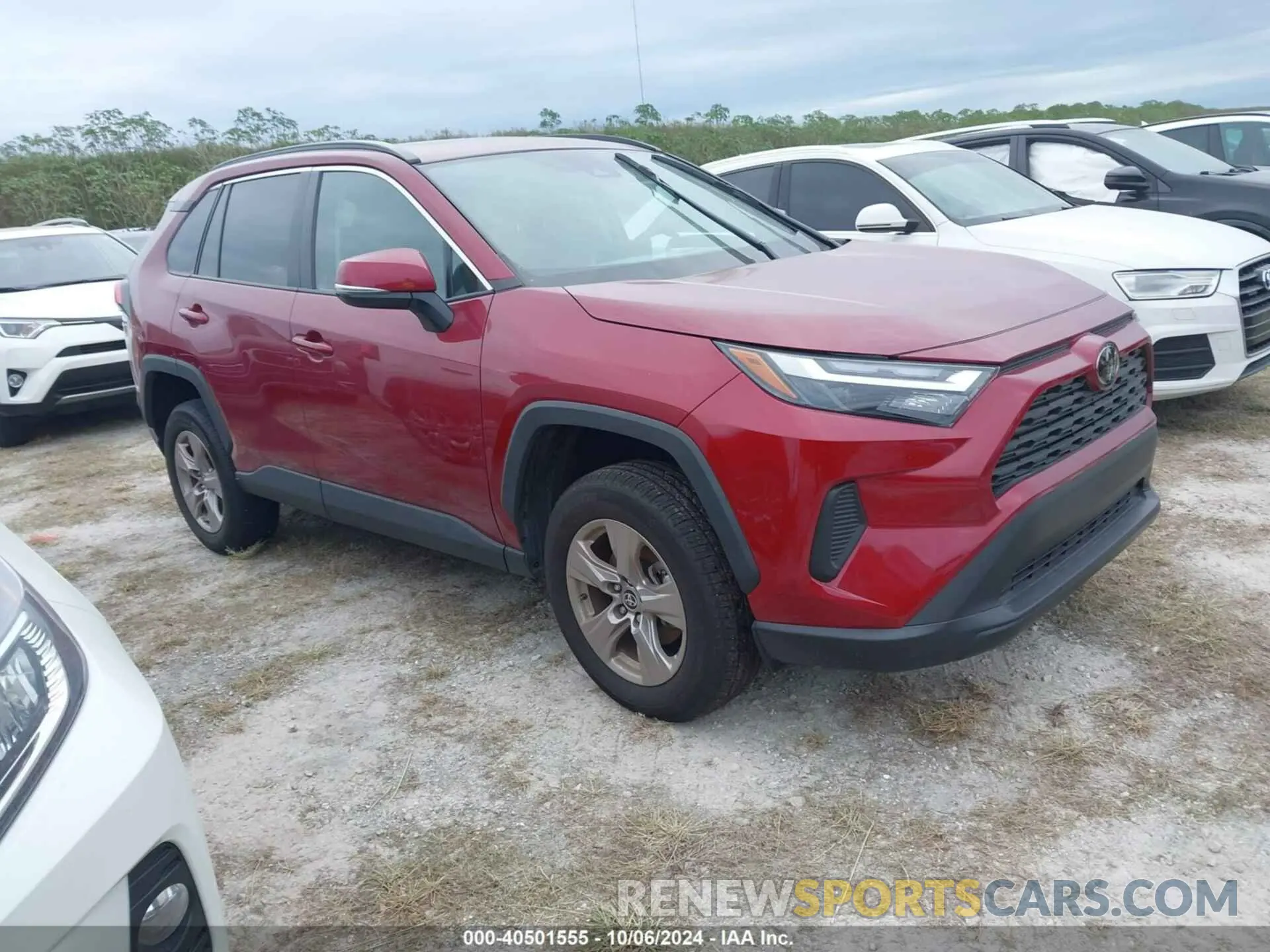 1 Фотография поврежденного автомобиля 2T3W1RFV0PW249855 TOYOTA RAV4 2023