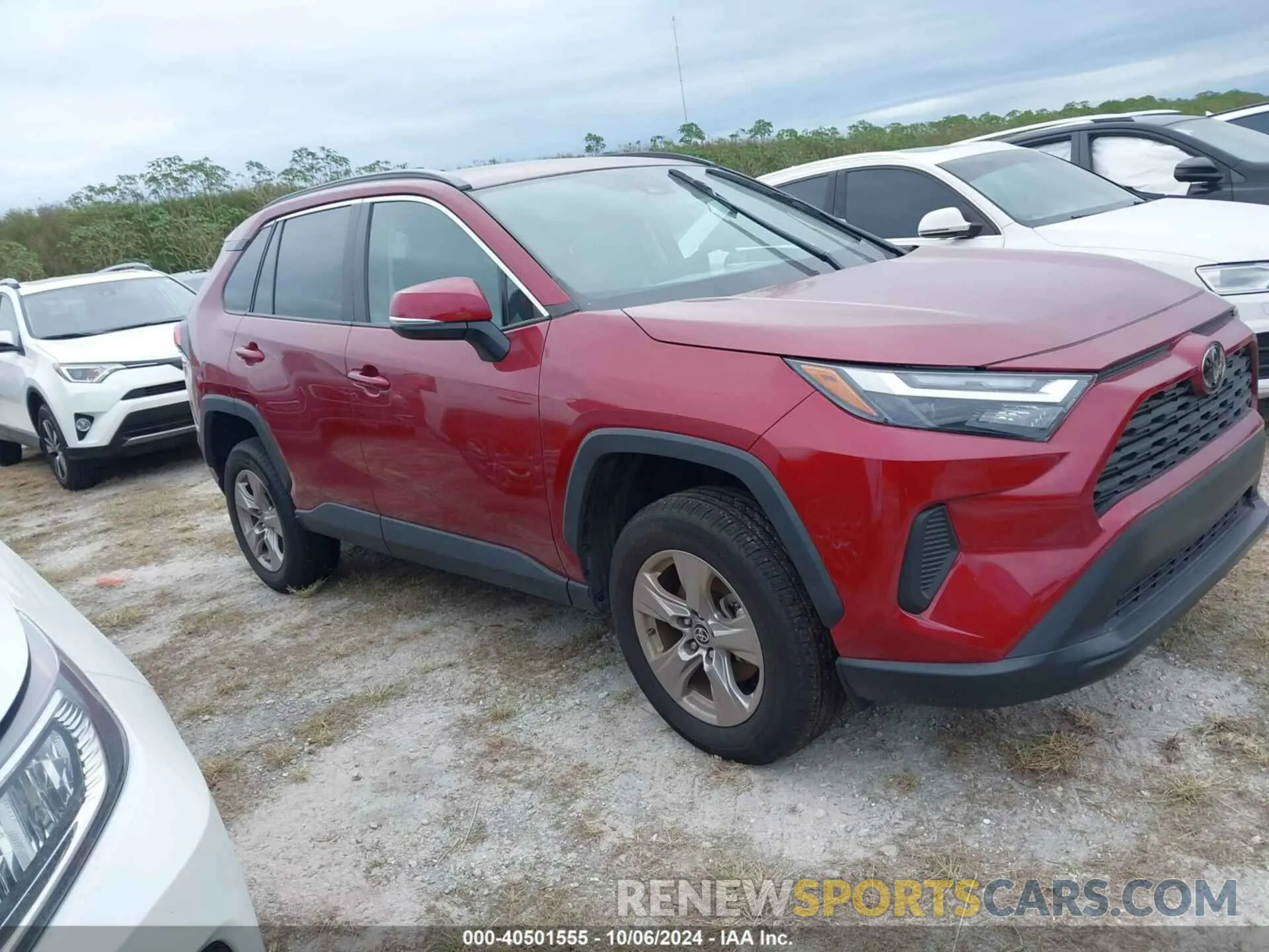 12 Фотография поврежденного автомобиля 2T3W1RFV0PW249855 TOYOTA RAV4 2023