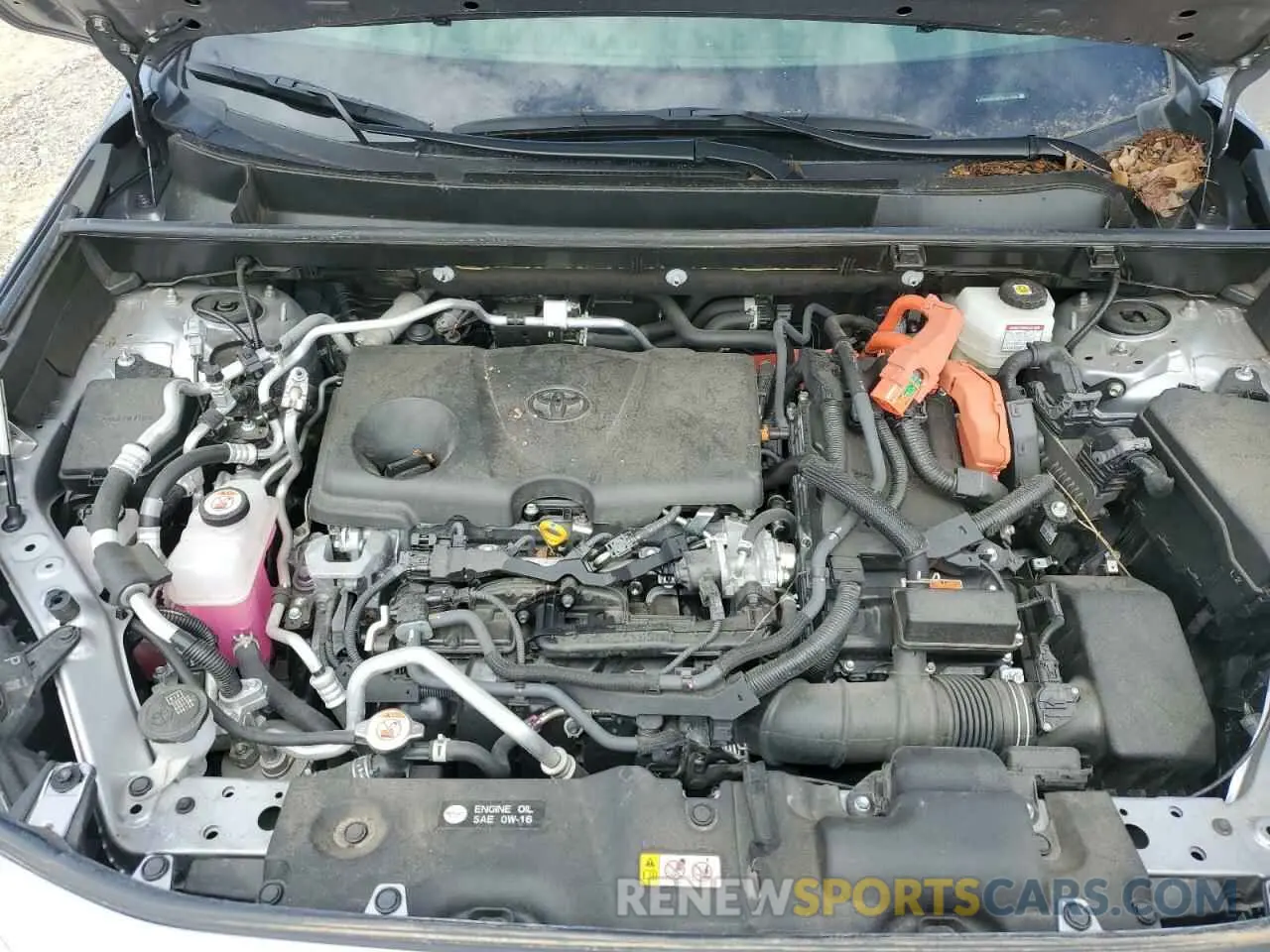 12 Фотография поврежденного автомобиля JTMAB3FVXPD121494 TOYOTA RAV4 2023