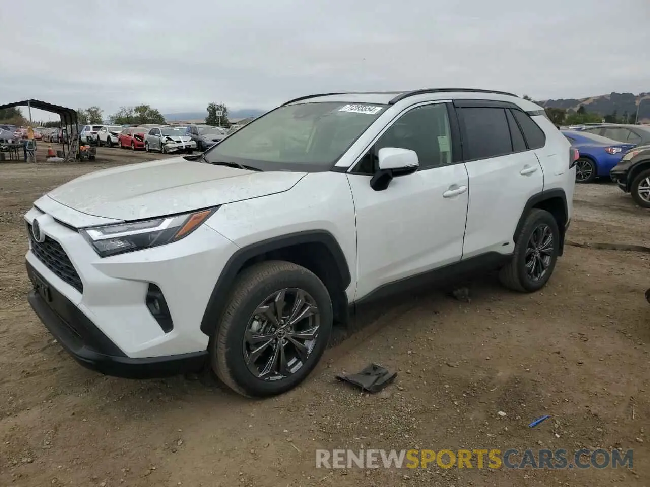 1 Photograph of a damaged car JTMB6RFV5PD091283 TOYOTA RAV4 2023