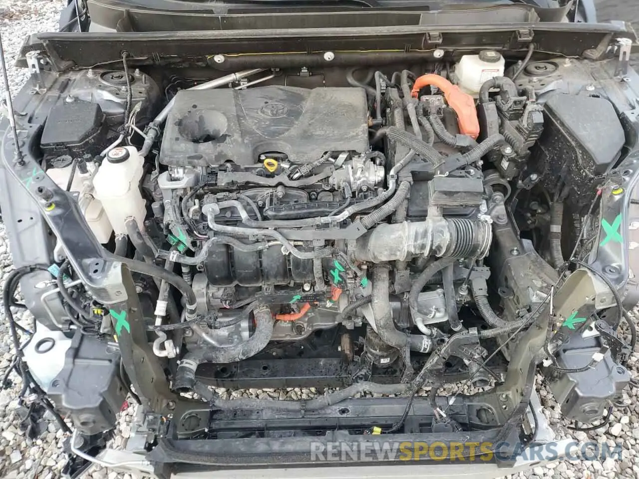 12 Фотография поврежденного автомобиля JTMRWRFV0PD177308 TOYOTA RAV4 2023