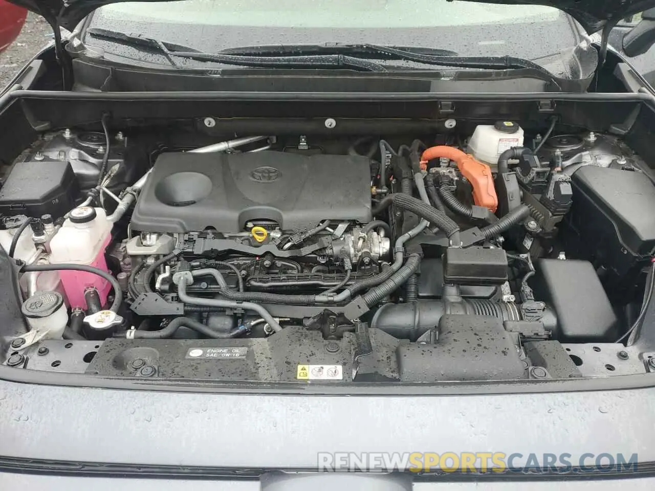 12 Photograph of a damaged car JTMRWRFV1PD201731 TOYOTA RAV4 2023
