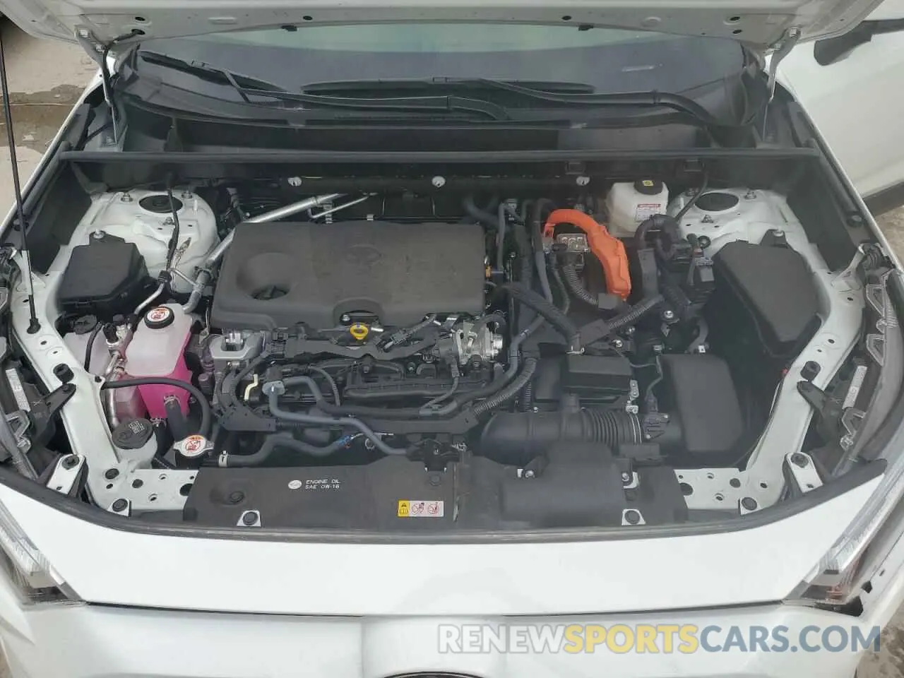 12 Фотография поврежденного автомобиля JTMRWRFV6PD202888 TOYOTA RAV4 2023
