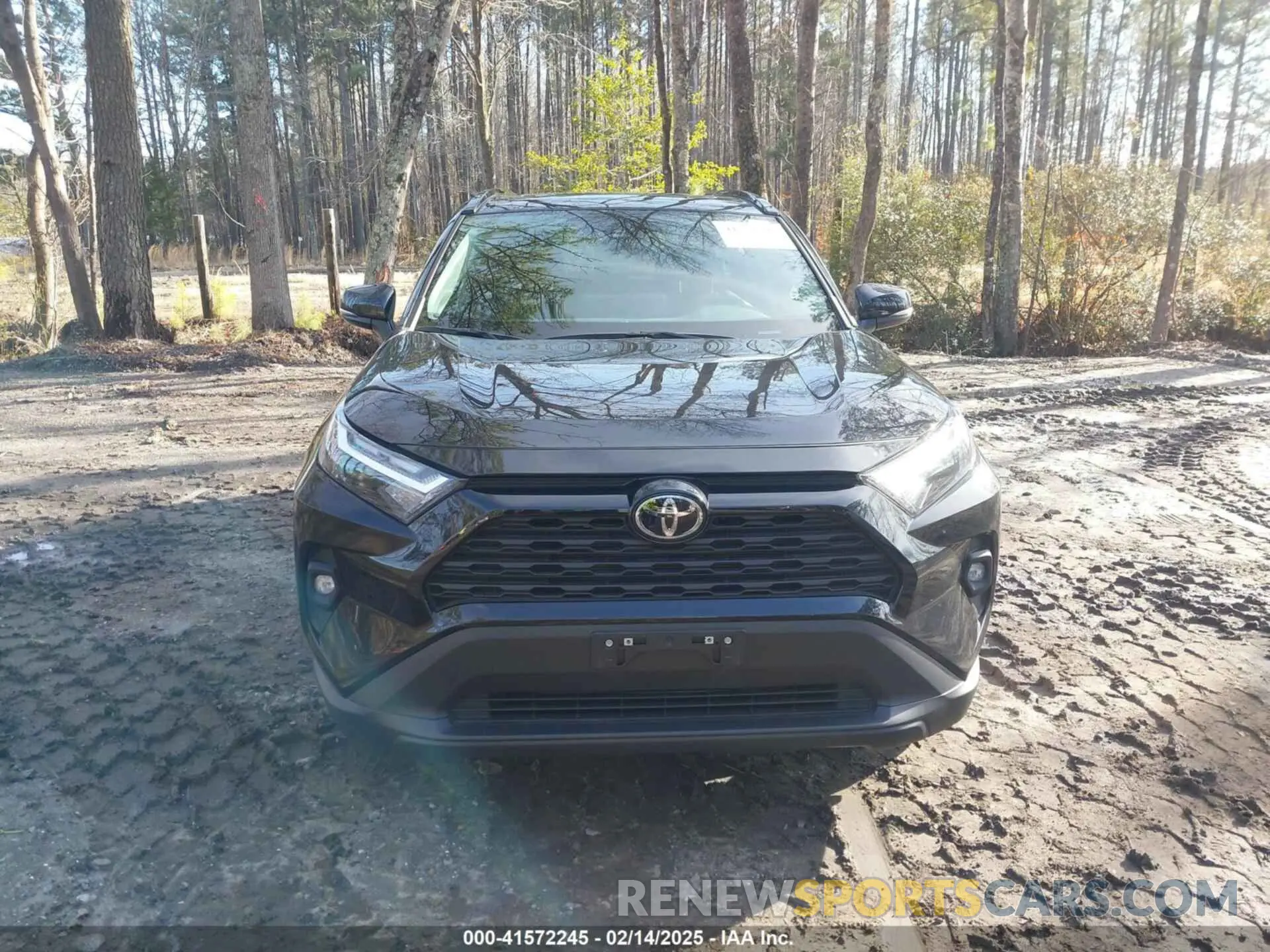 12 Photograph of a damaged car 2T3A1RFV0RW453018 TOYOTA RAV4 2024