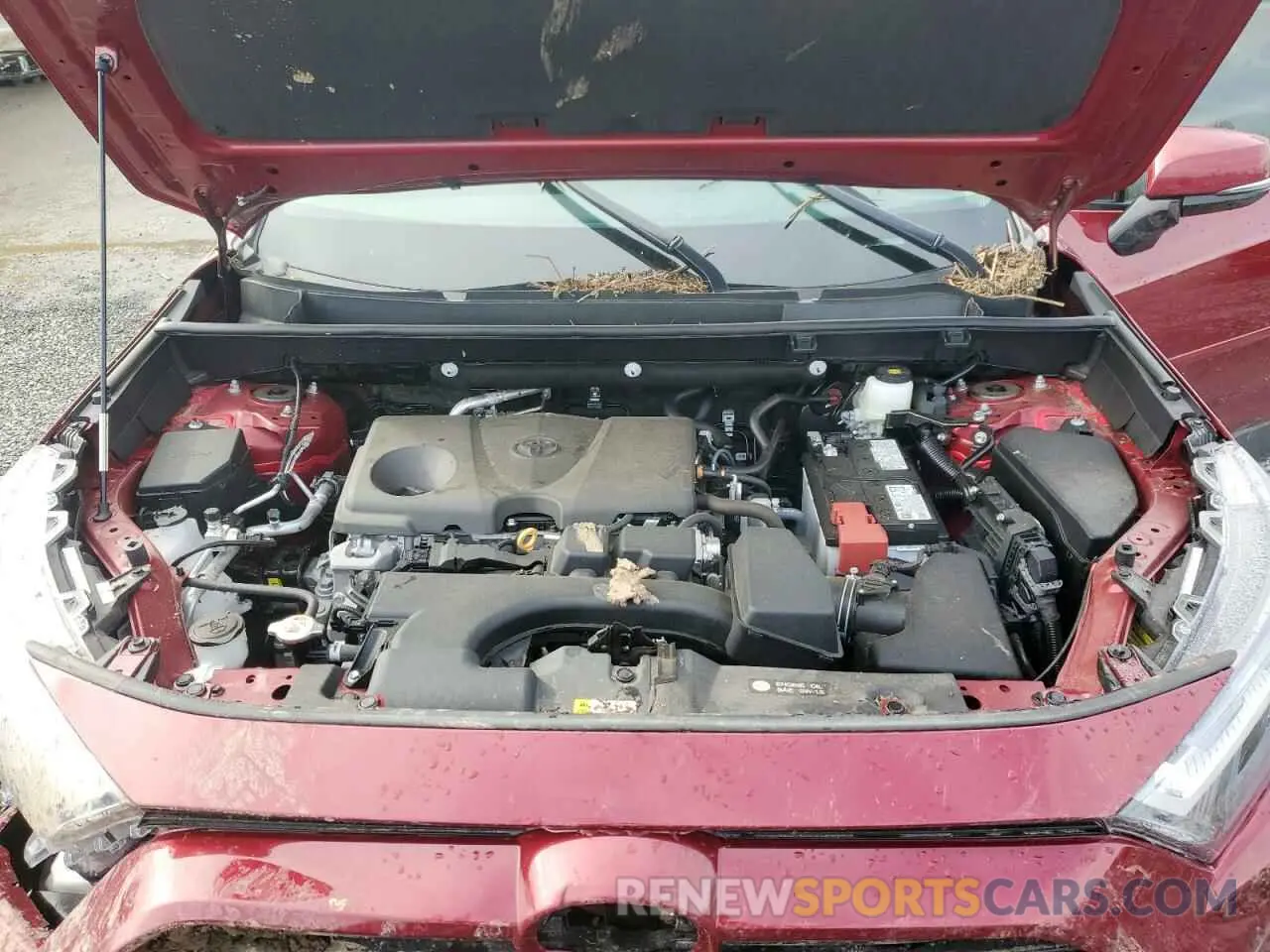 13 Photograph of a damaged car 2T3A1RFV7RW453498 TOYOTA RAV4 2024