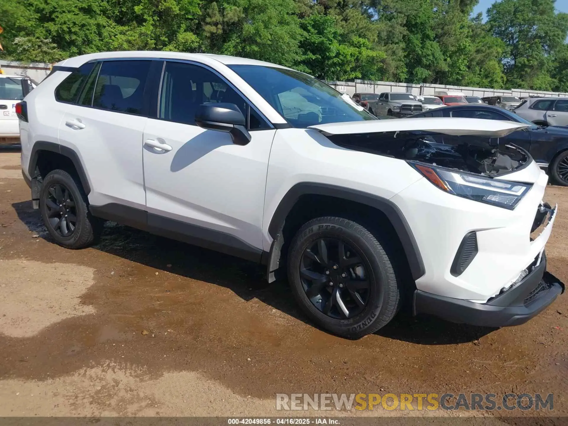 1 Фотография поврежденного автомобиля 2T3H1RFV1RC299094 TOYOTA RAV4 2024