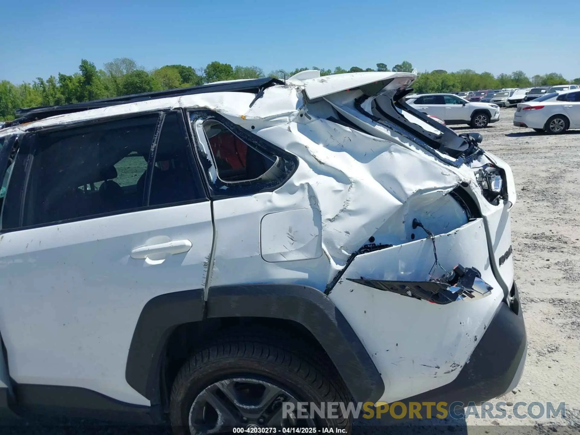 12 Photograph of a damaged car 2T3J1RFV0RW413618 TOYOTA RAV4 2024