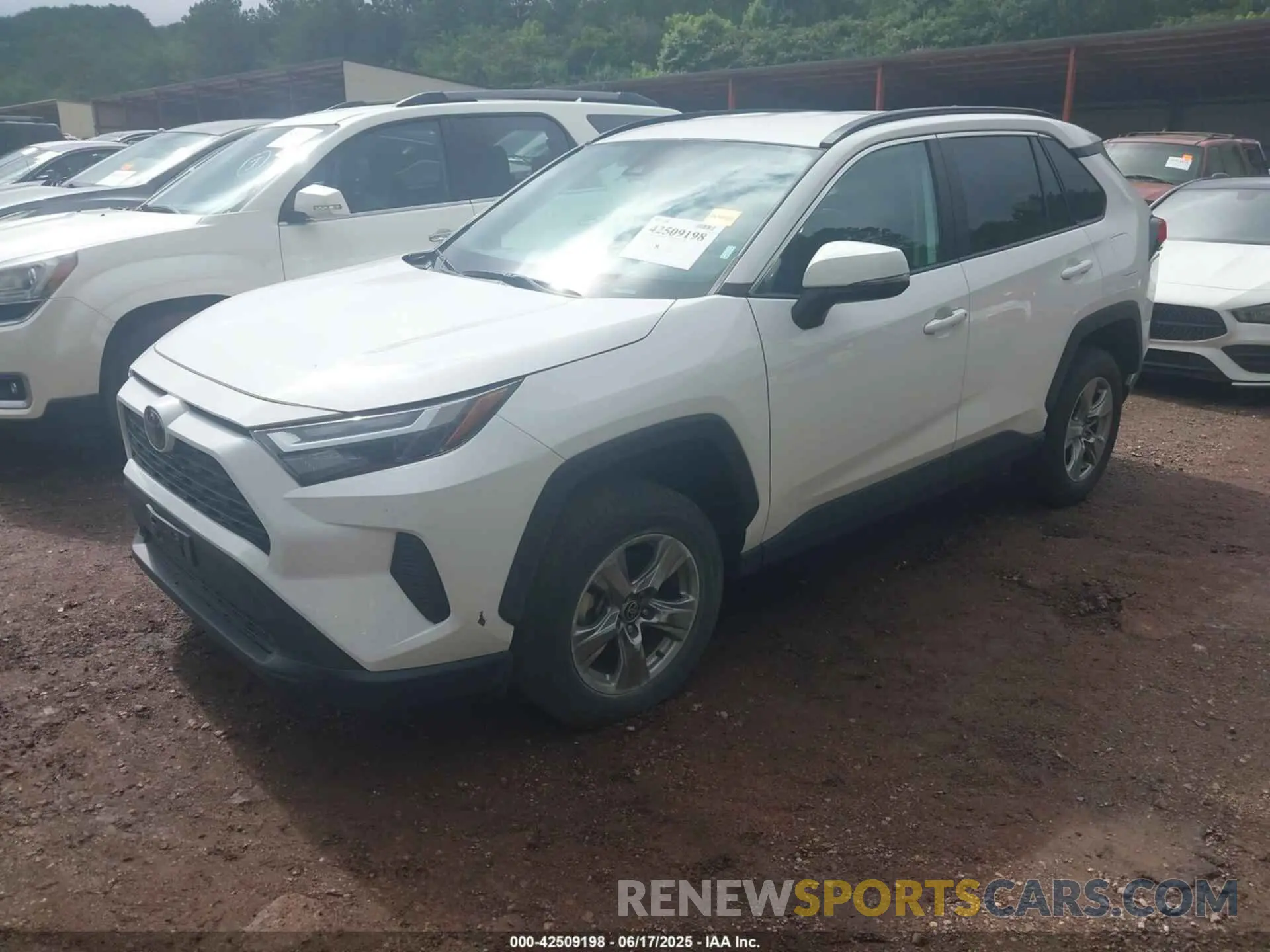 2 Photograph of a damaged car 2T3P1RFV7RC411358 TOYOTA RAV4 2024