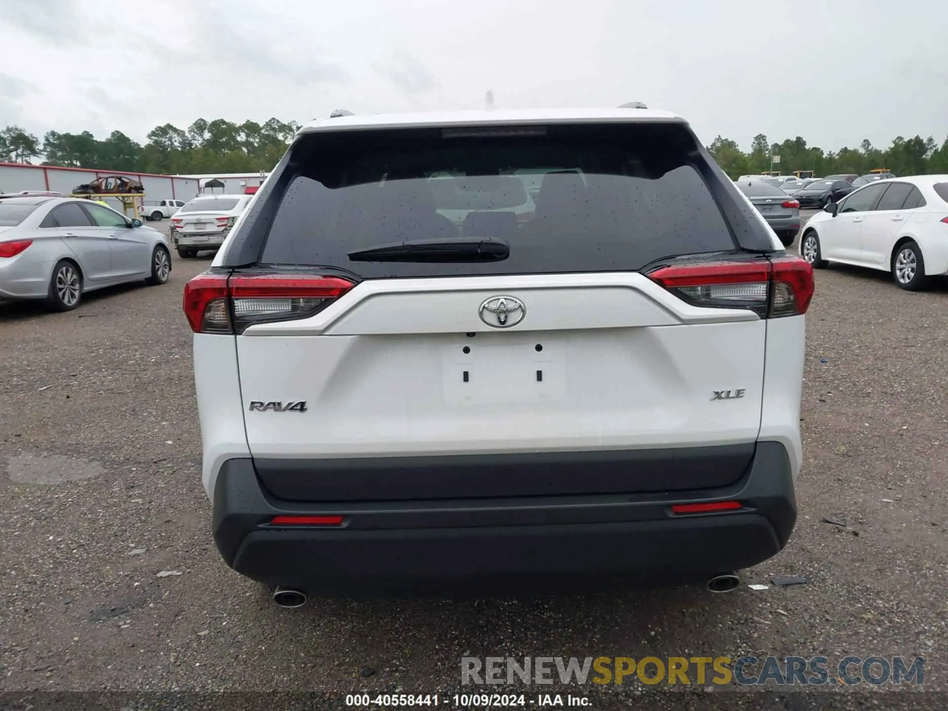 16 Фотография поврежденного автомобиля 2T3W1RFV6RW331866 TOYOTA RAV4 2024