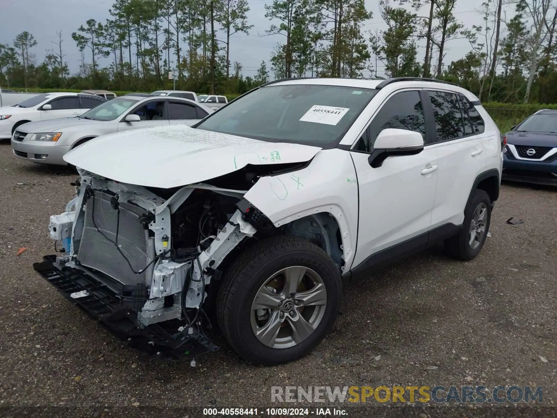 2 Фотография поврежденного автомобиля 2T3W1RFV6RW331866 TOYOTA RAV4 2024