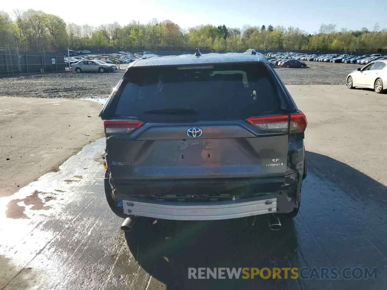 6 Фотография поврежденного автомобиля JTM16RFV8RD150504 TOYOTA RAV4 2024