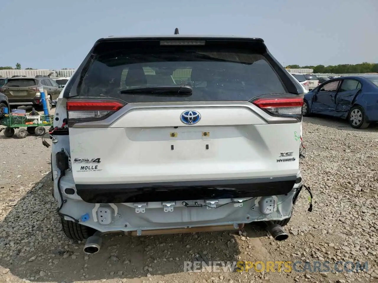 6 Фотография поврежденного автомобиля JTME6RFVXRJ042954 TOYOTA RAV4 2024