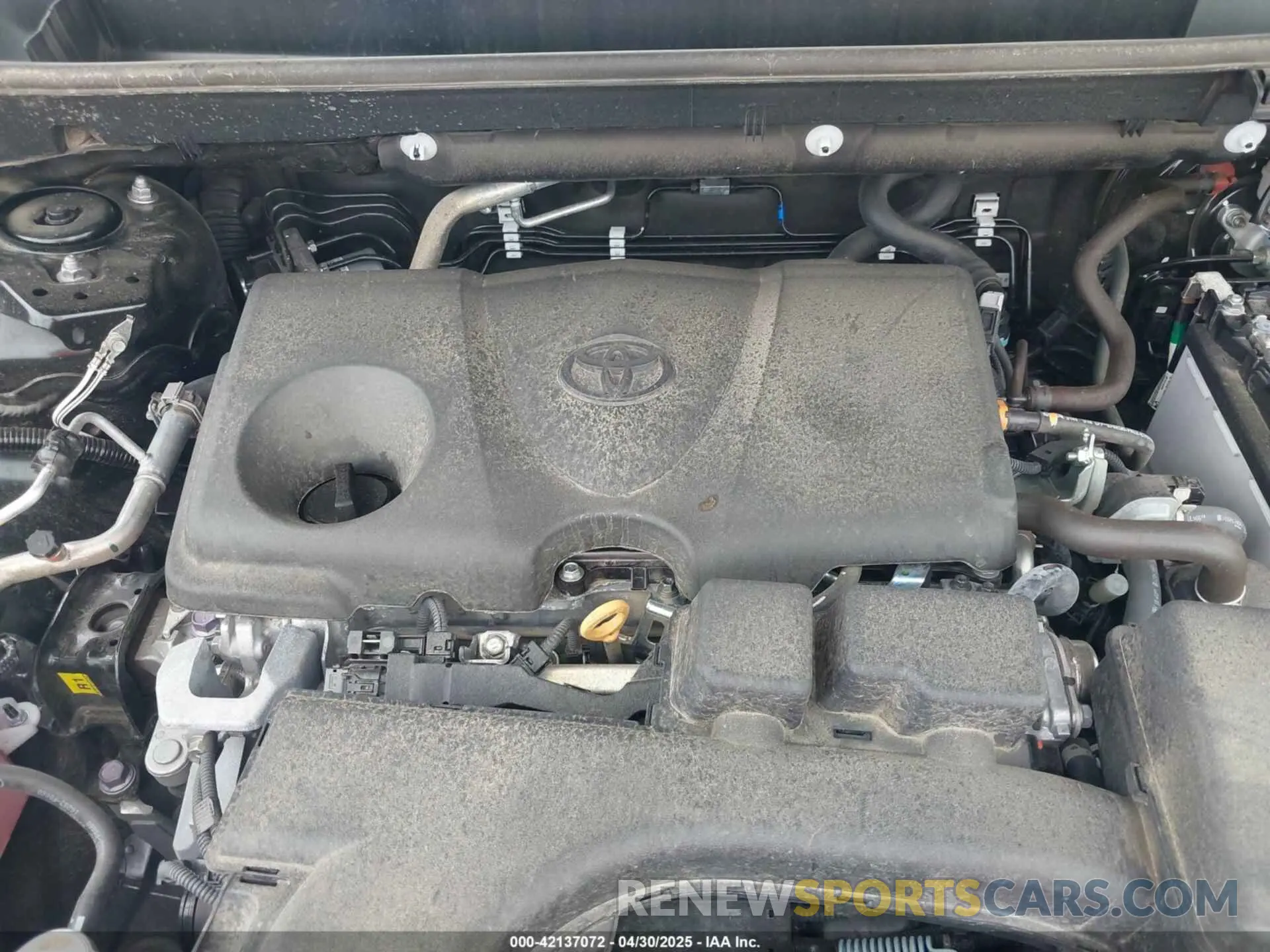 10 Фотография поврежденного автомобиля 2T3W1RFV5SC311437 TOYOTA RAV4 2025