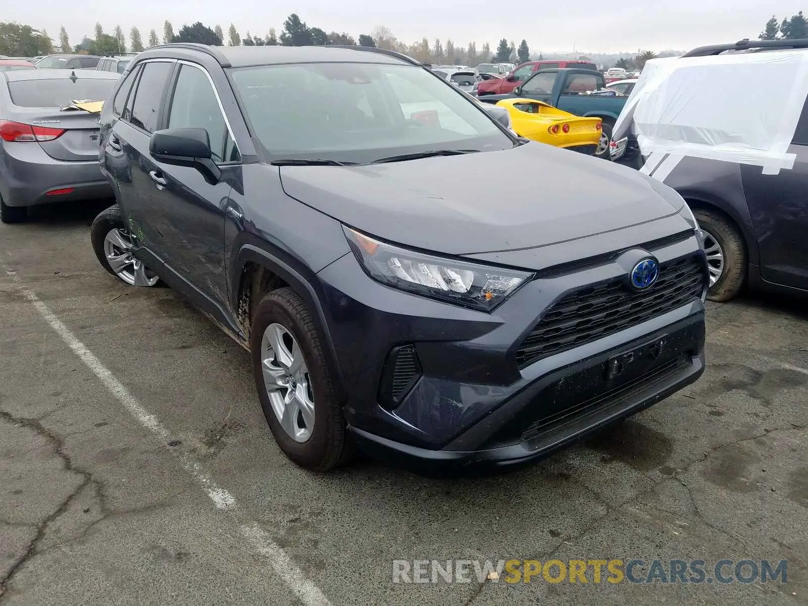 1 Фотография поврежденного автомобиля 2T3LWRFV2KW007601 TOYOTA RAV4 LE 2019