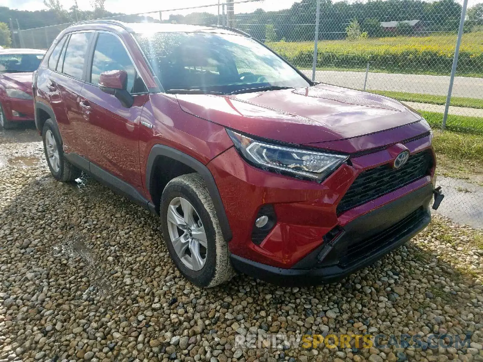 1 Фотография поврежденного автомобиля JTMRWRFV0KD501656 TOYOTA RAV4 XLE 2019