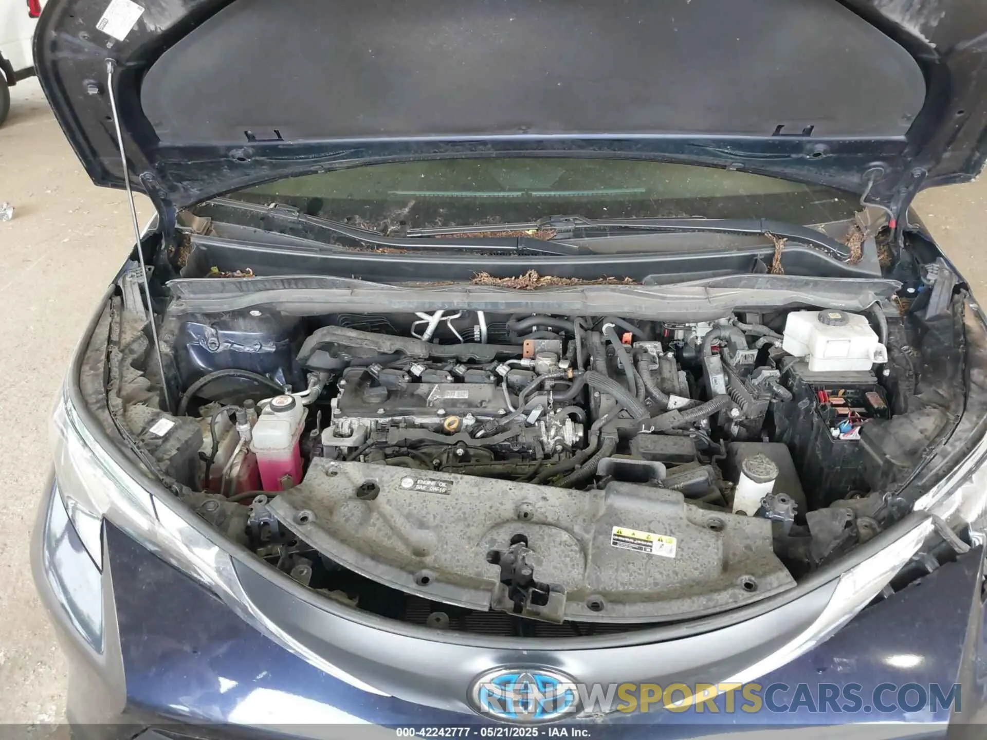 10 Фотография поврежденного автомобиля 5TDBRKEC5PS175297 TOYOTA SIENNA 2023