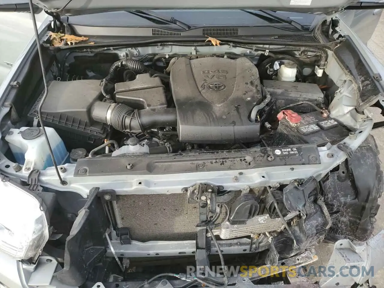 11 Photograph of a damaged car 3TMCZ5AN0KM255984 TOYOTA TACOMA 2019