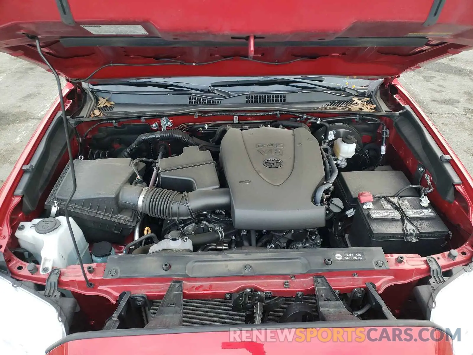 7 Photograph of a damaged car 3TMCZ5AN2KM274150 TOYOTA TACOMA 2019