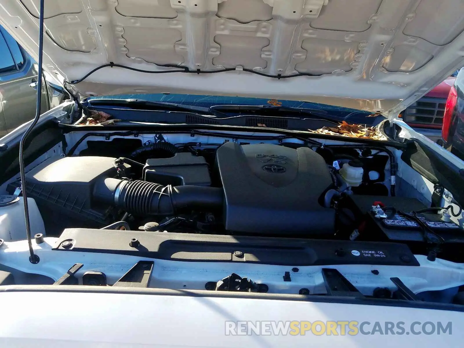 7 Photograph of a damaged car 3TMCZ5AN5KM195538 TOYOTA TACOMA 2019