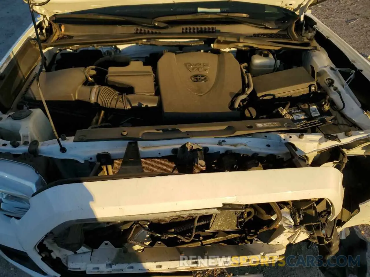 11 Photograph of a damaged car 3TMCZ5AN5KM217134 TOYOTA TACOMA 2019