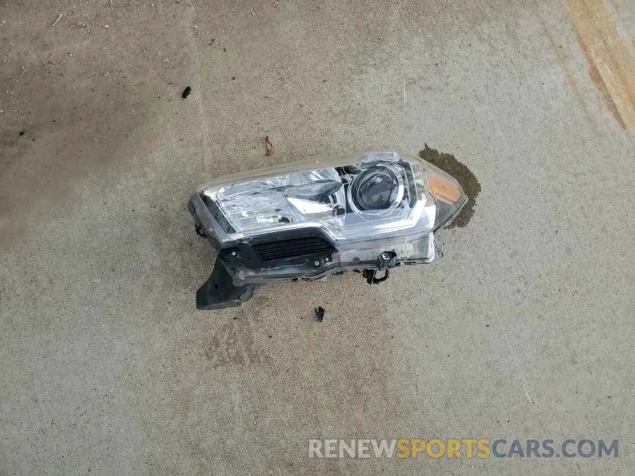 12 Photograph of a damaged car 3TMCZ5ANXKM275837 TOYOTA TACOMA 2019