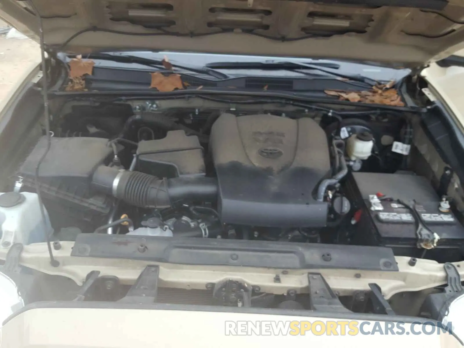 7 Photograph of a damaged car 3TMAZ5CN6LM131384 TOYOTA TACOMA 2020