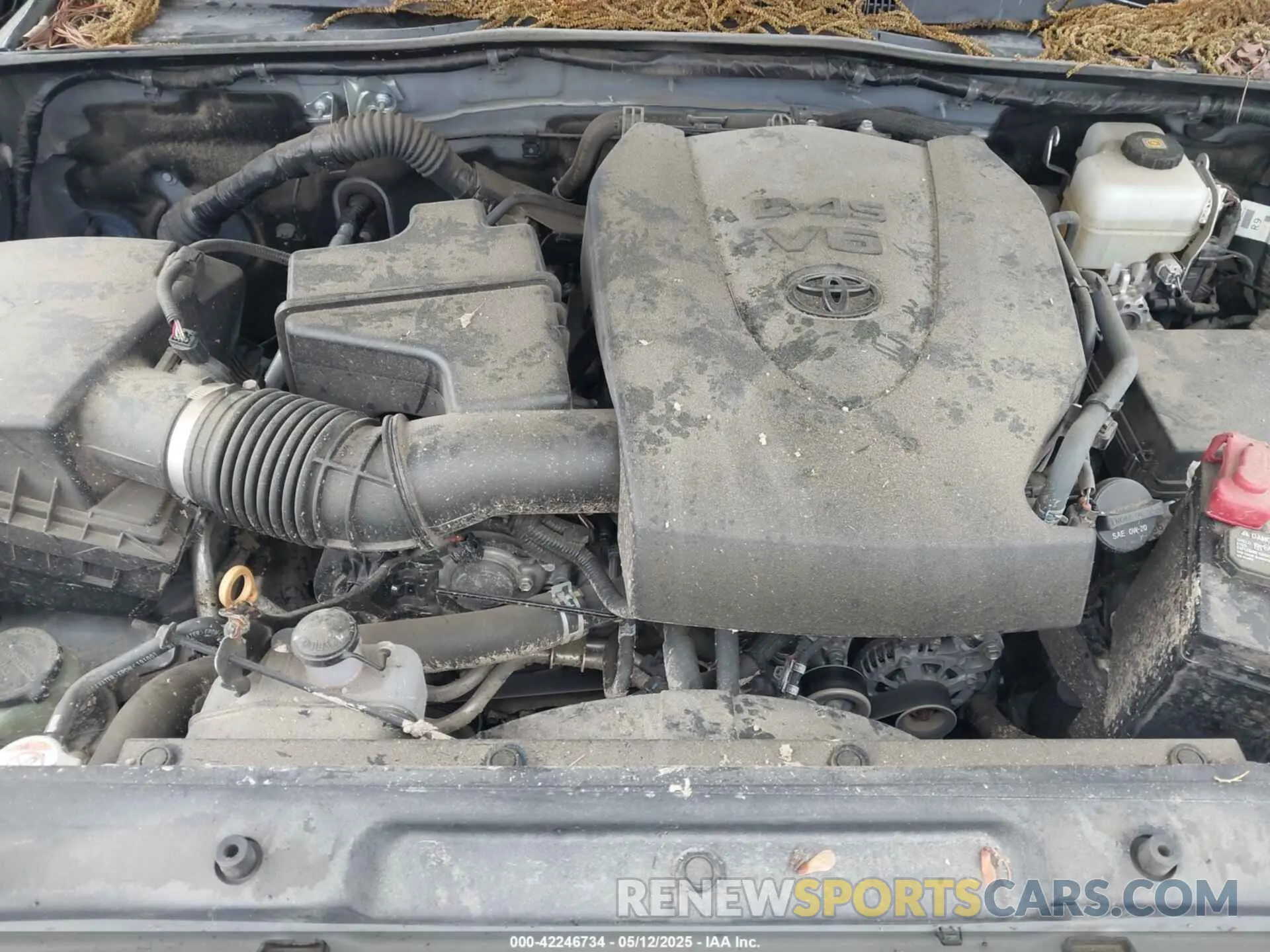 10 Photograph of a damaged car 3TMCZ5AN0LM339479 TOYOTA TACOMA 2020