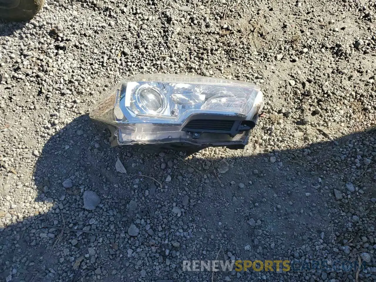 12 Photograph of a damaged car 3TMCZ5AN4LM352879 TOYOTA TACOMA 2020