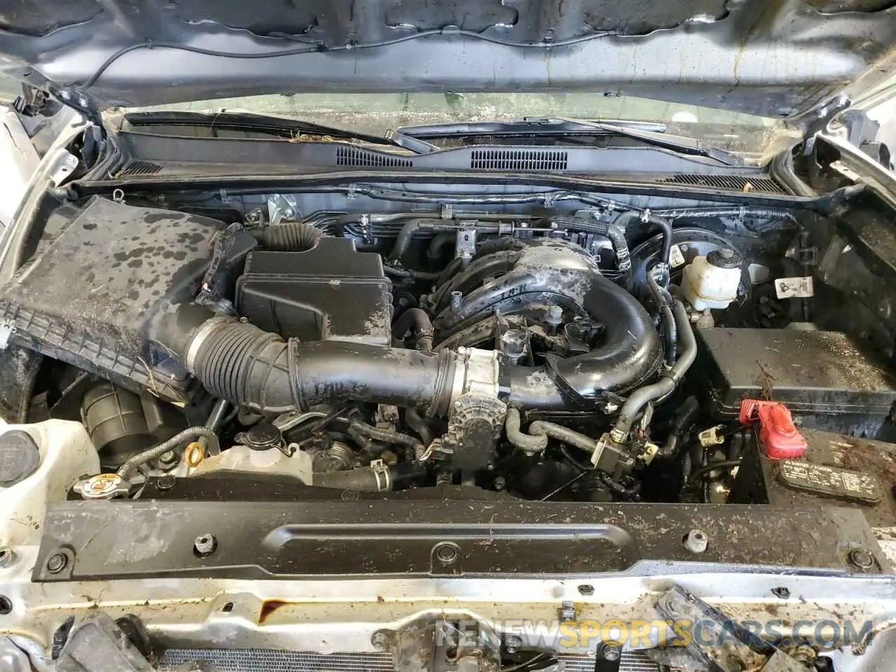 11 Photograph of a damaged car 3TMCZ5AN6LM300606 TOYOTA TACOMA 2020