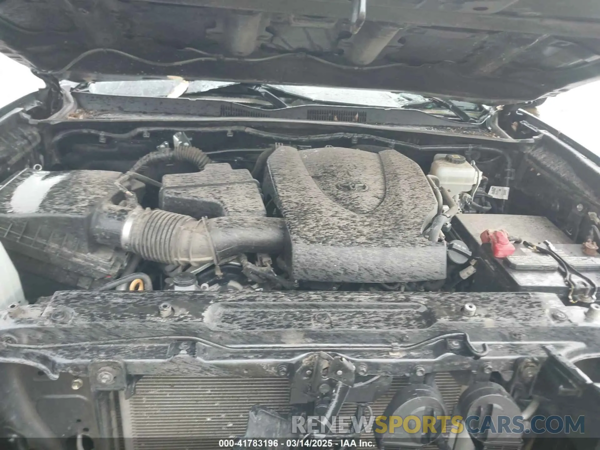 10 Photograph of a damaged car 3TMCZ5AN0MM403070 TOYOTA TACOMA 2021