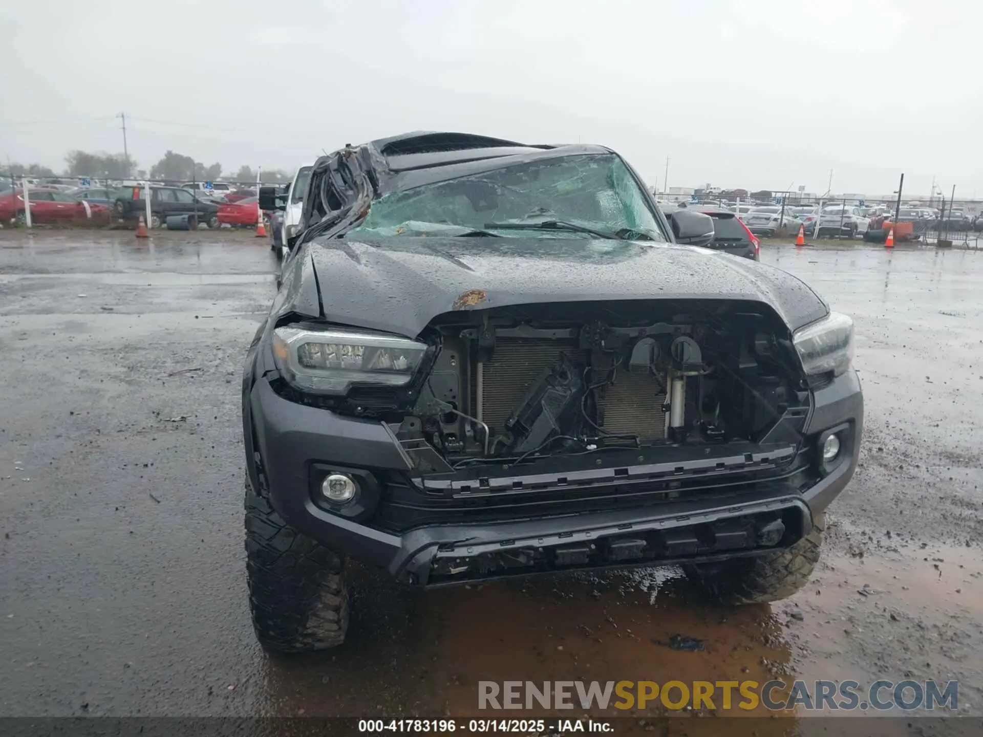 6 Photograph of a damaged car 3TMCZ5AN0MM403070 TOYOTA TACOMA 2021