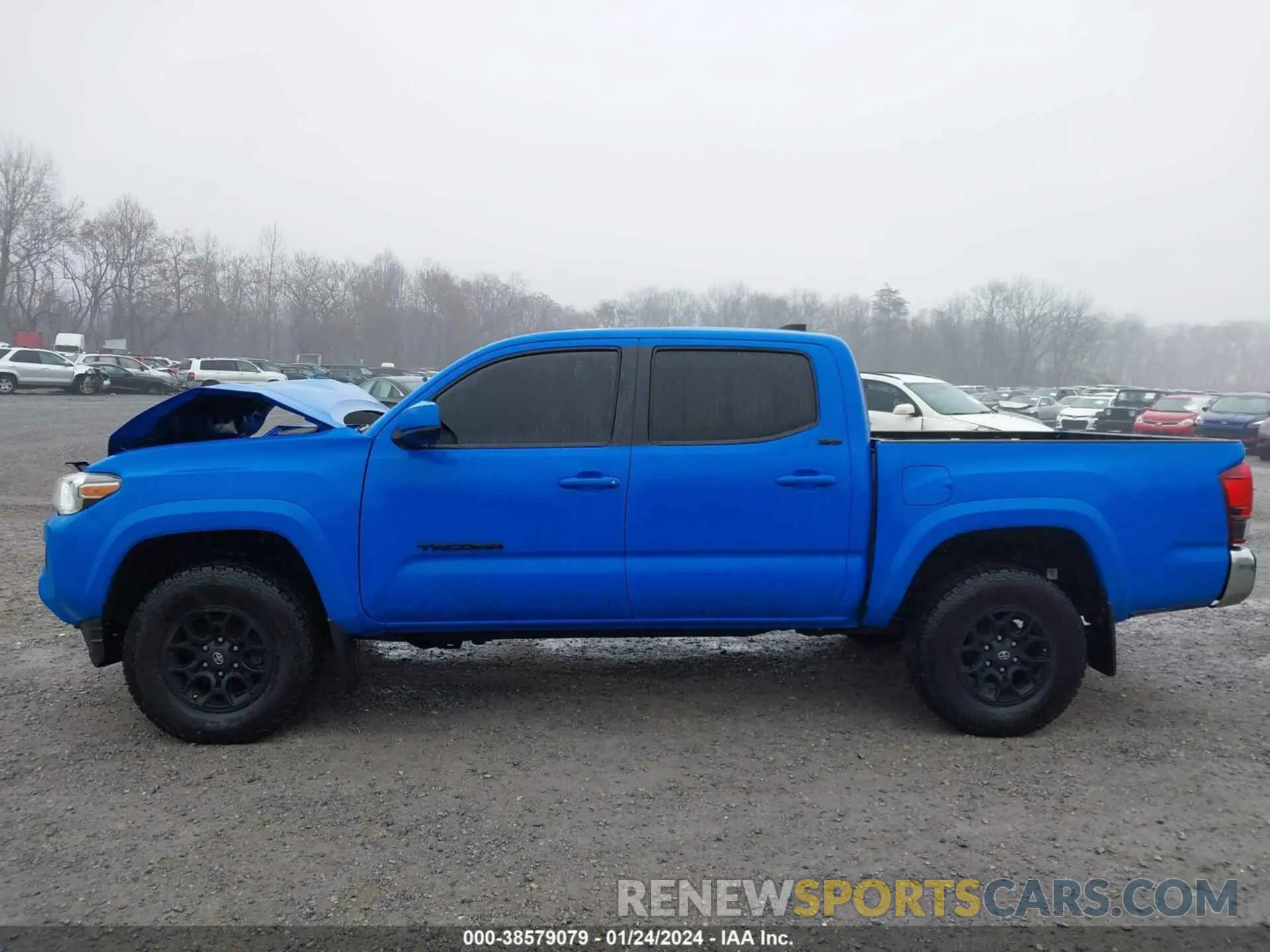 15 Photograph of a damaged car 3TMCZ5AN1MM398901 TOYOTA TACOMA 2021