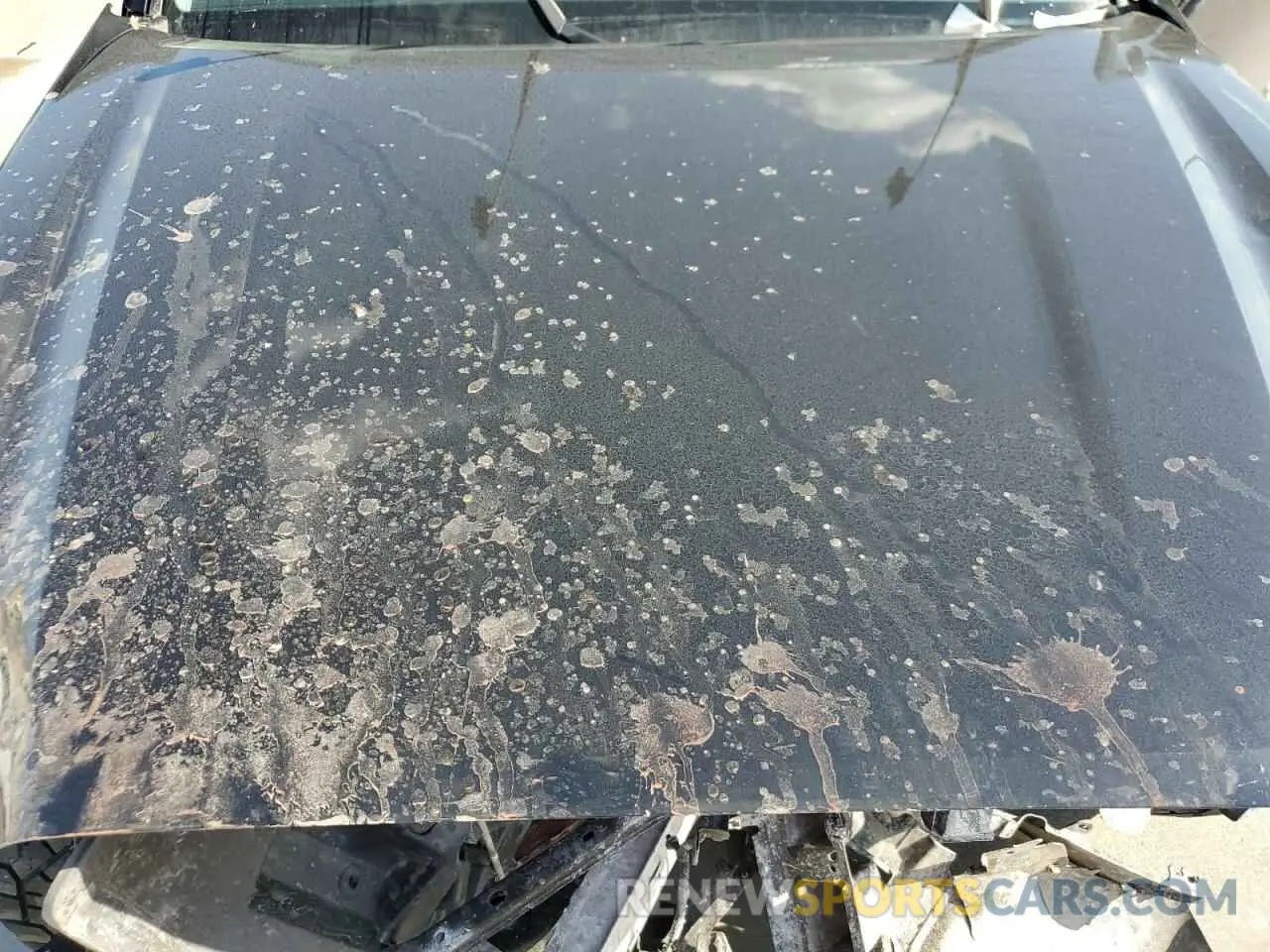 11 Photograph of a damaged car 3TYAX5GN2MT011703 TOYOTA TACOMA 2021