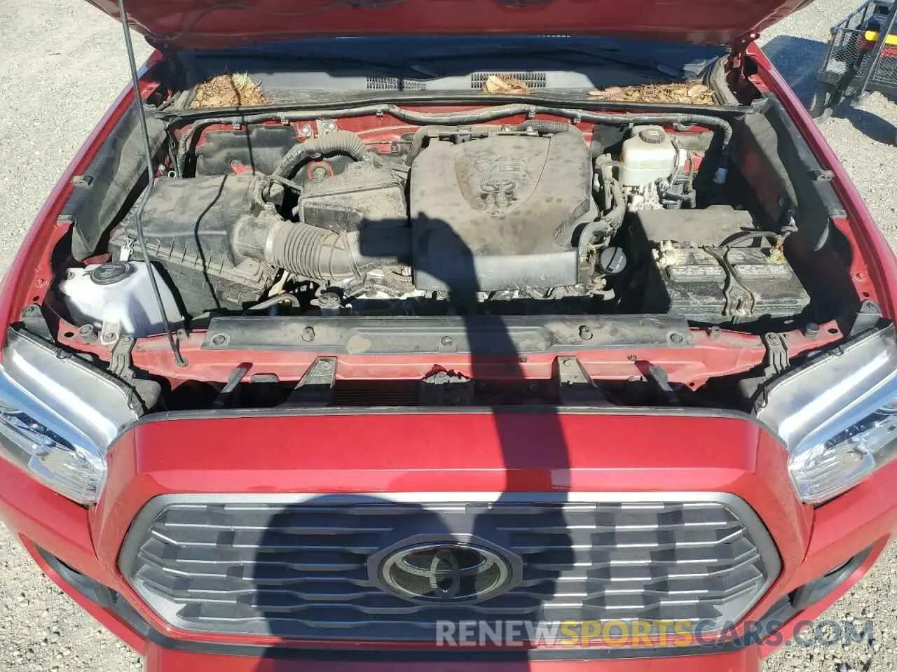 11 Photograph of a damaged car 5TFCZ5AN7MX269040 TOYOTA TACOMA 2021