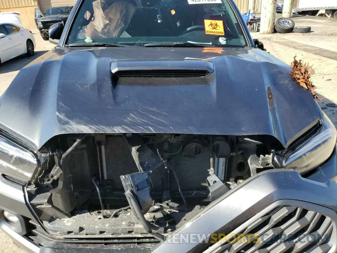 11 Photograph of a damaged car 3TMAZ5CN6NM190731 TOYOTA TACOMA 2022