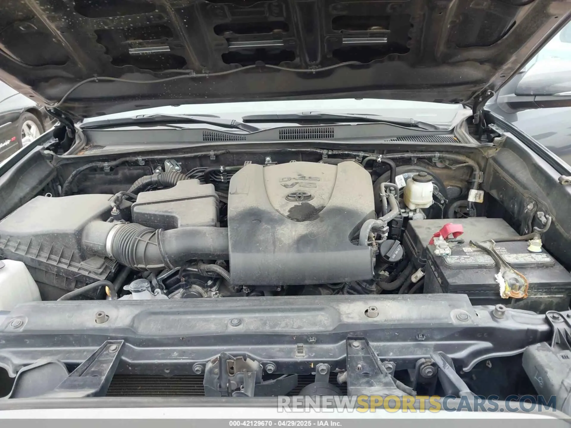 10 Photograph of a damaged car 3TMAZ5CN7NM184856 TOYOTA TACOMA 2022