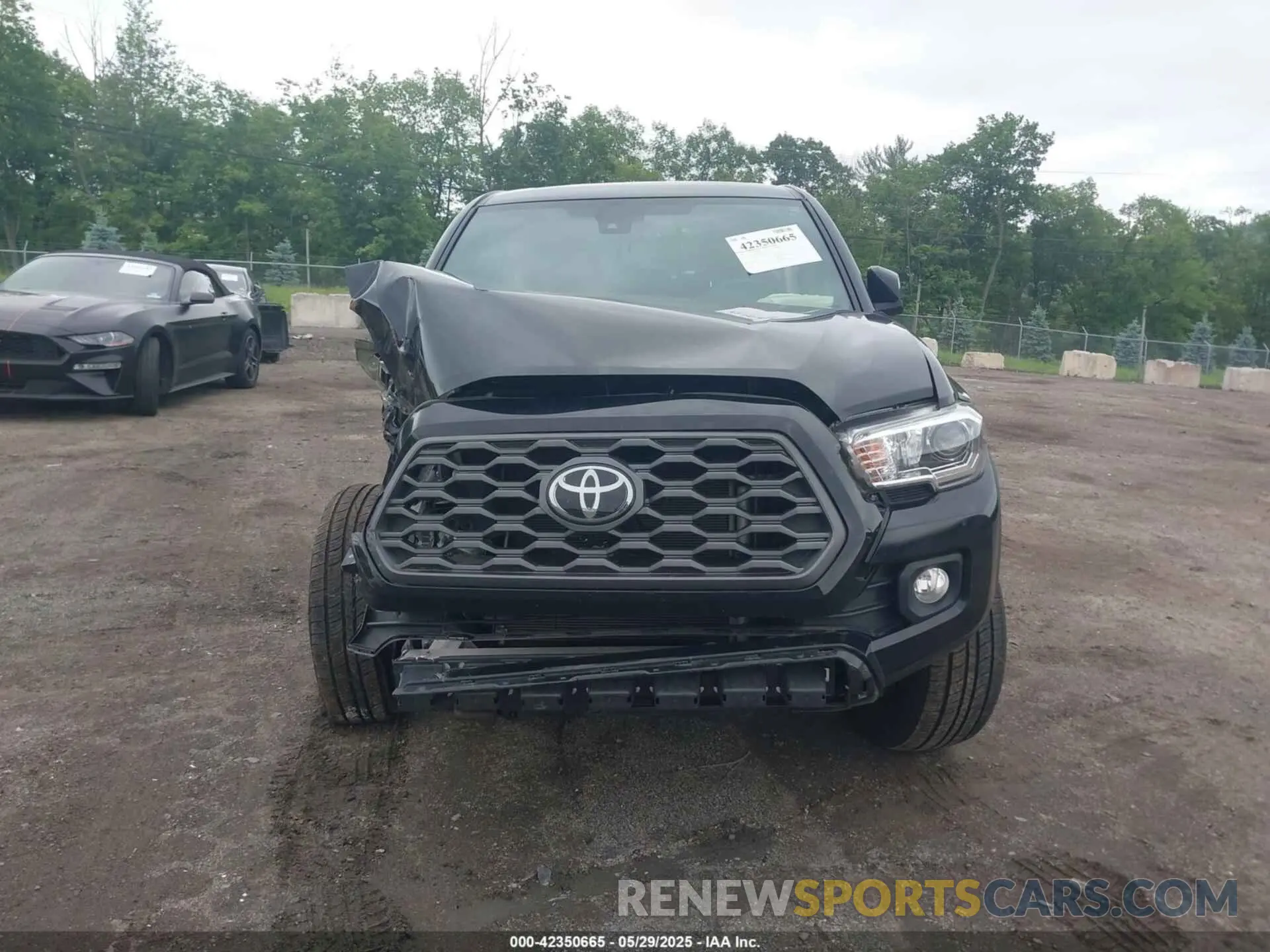 12 Photograph of a damaged car 3TMCZ5AN0NM488946 TOYOTA TACOMA 2022
