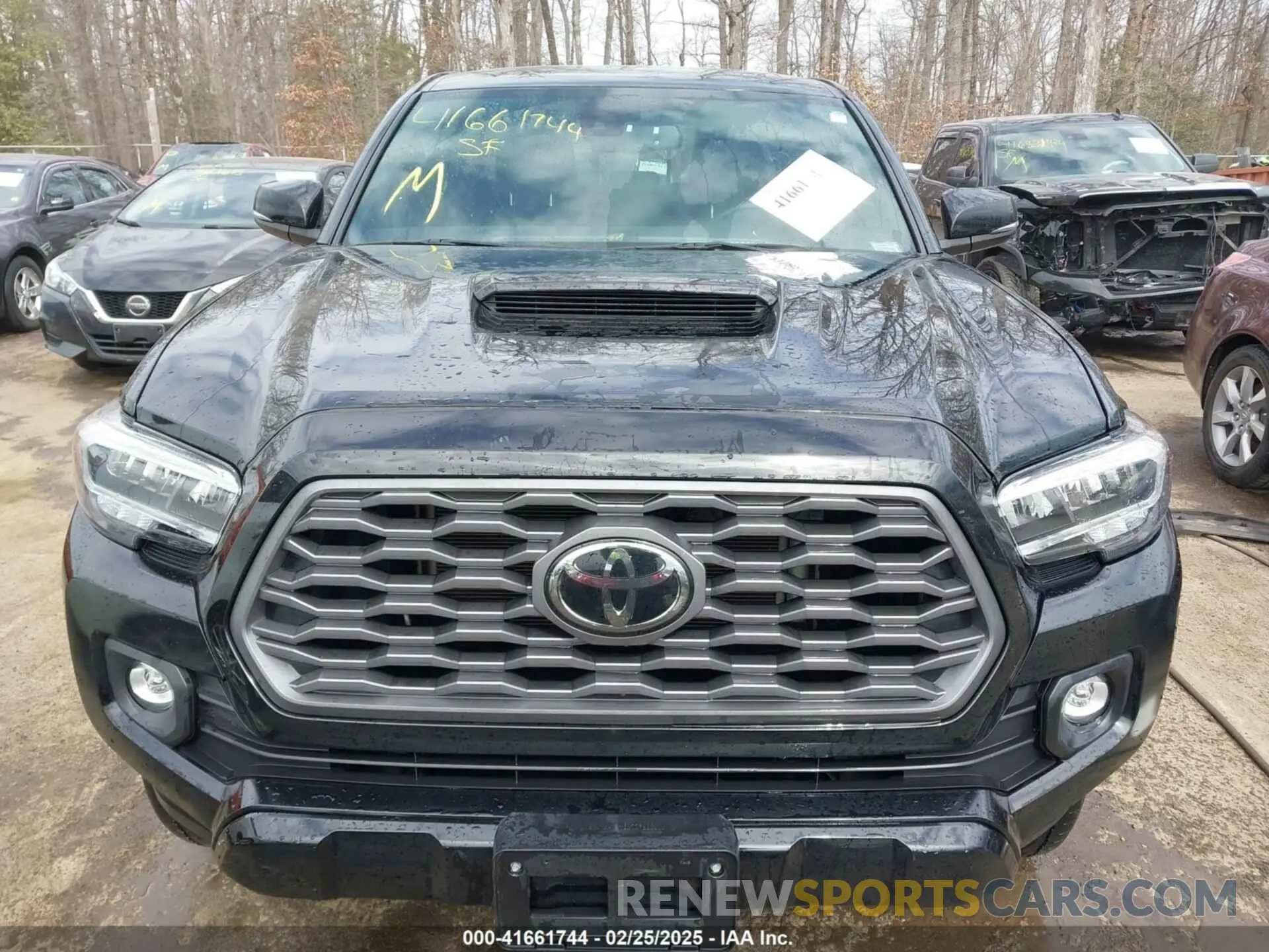 12 Photograph of a damaged car 3TMCZ5AN6NM459886 TOYOTA TACOMA 2022