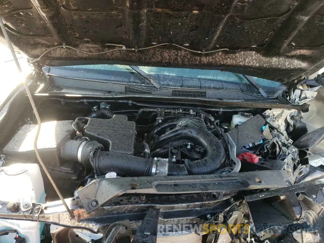 7 Photograph of a damaged car 3TYCZ5ANXNT096609 TOYOTA TACOMA 2022