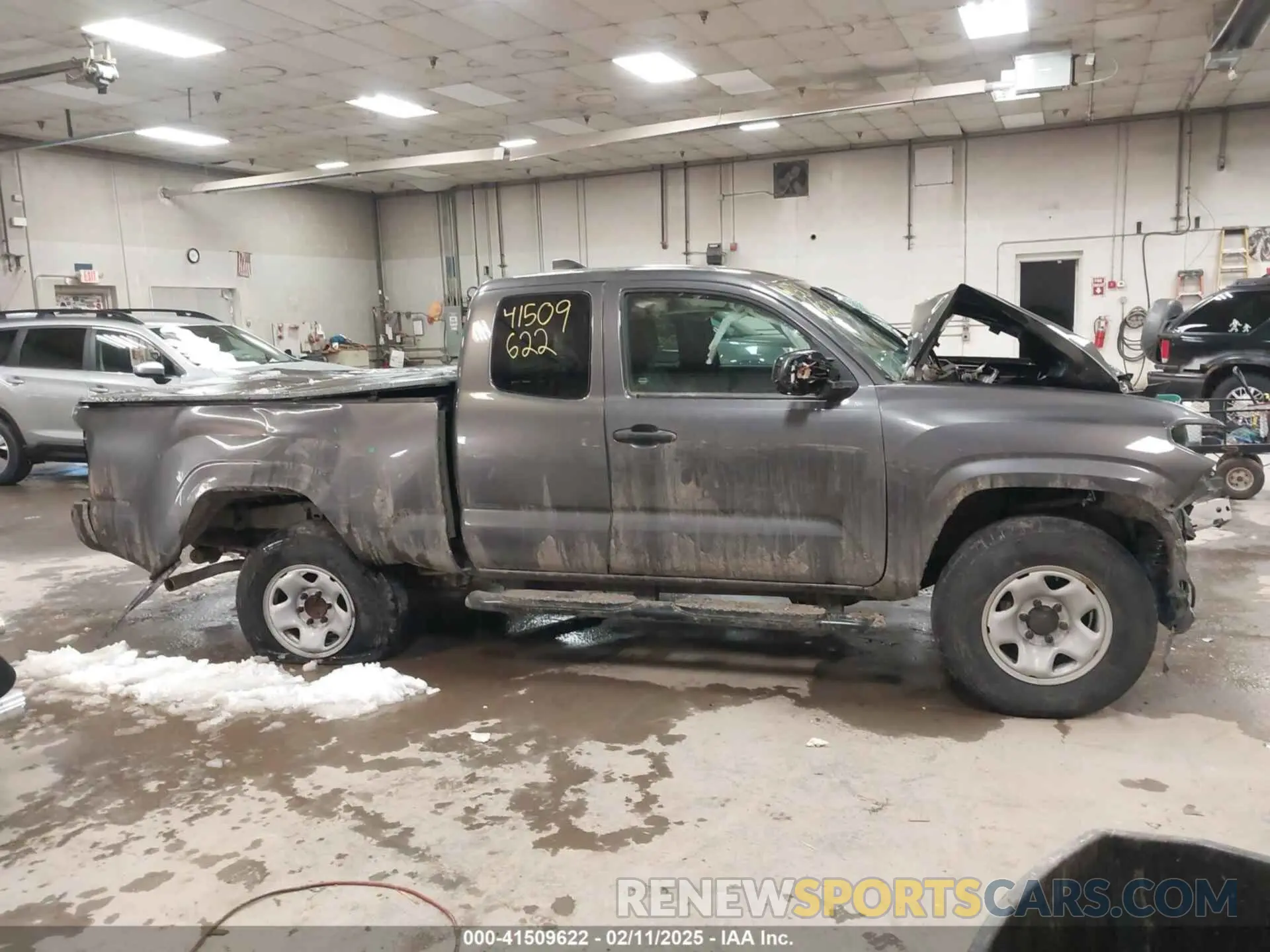 12 Photograph of a damaged car 3TYSX5EN1NT014066 TOYOTA TACOMA 2022