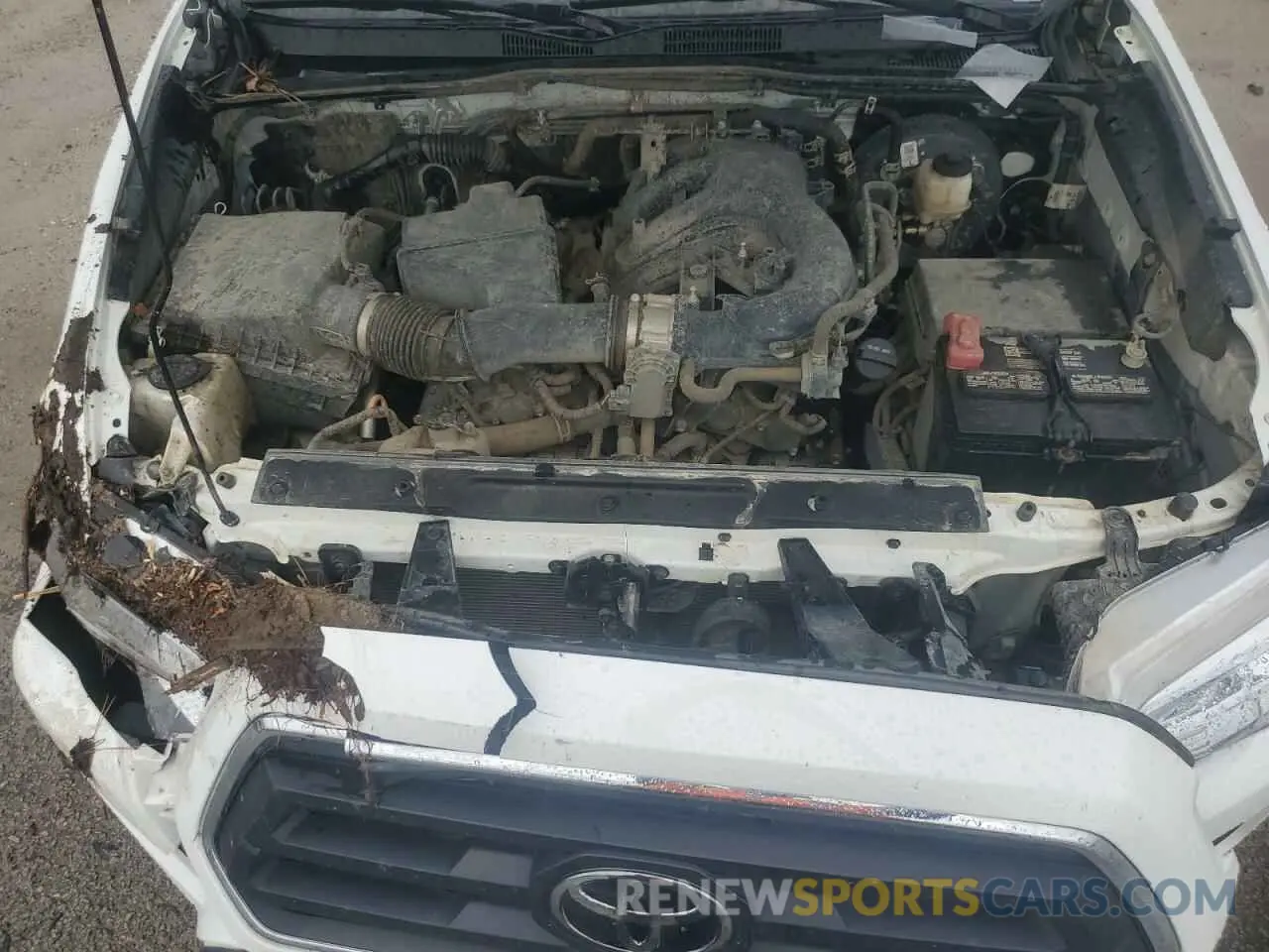 11 Photograph of a damaged car 3TMAZ5CNXPM212698 TOYOTA TACOMA 2023