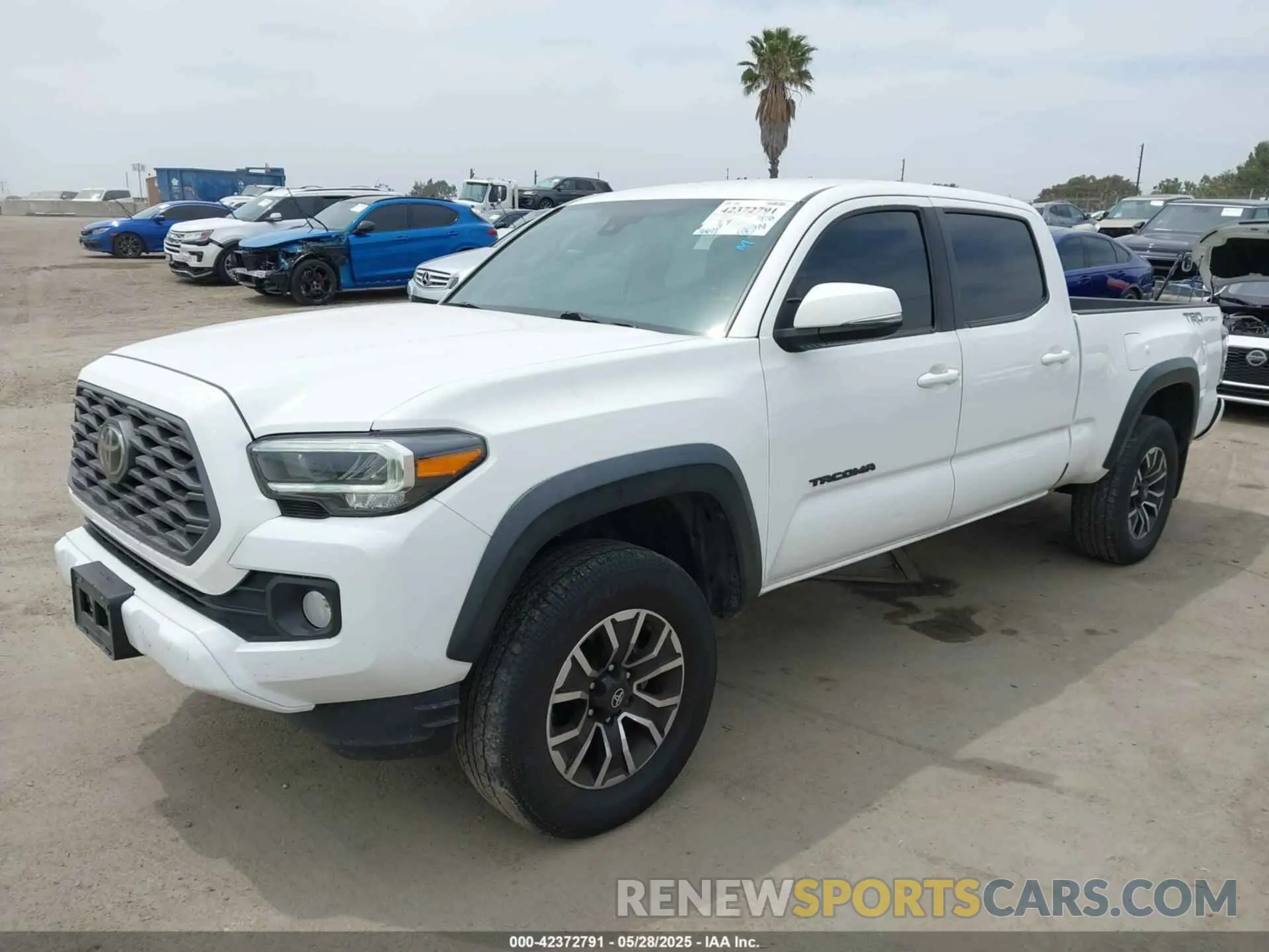 2 Фотография поврежденного автомобиля 3TMBZ5DN0PM037901 TOYOTA TACOMA 2023